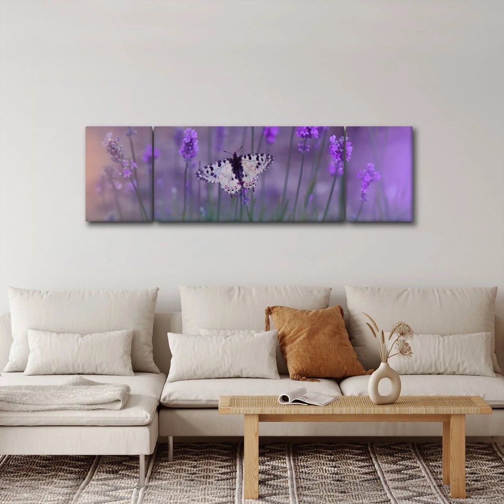 Obraz - Motyl w lawendach (170x50 cm)