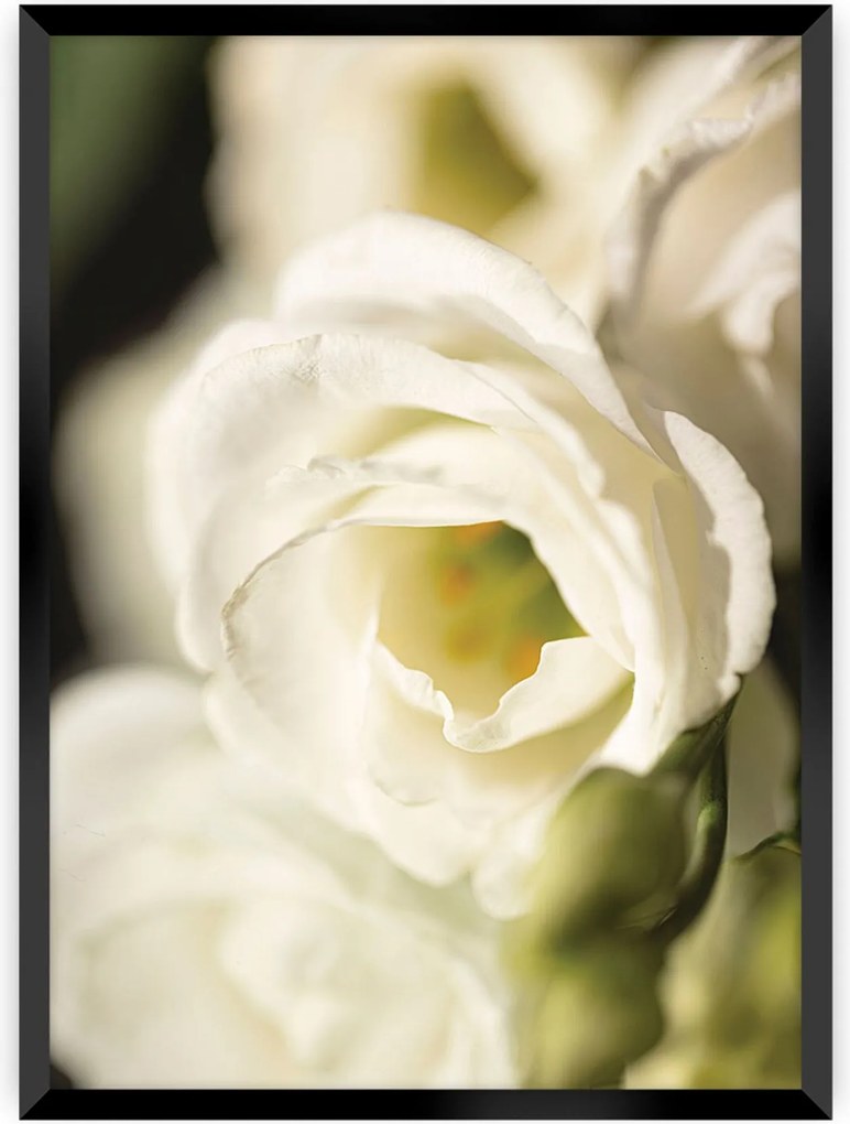 Plakat Flower Wall