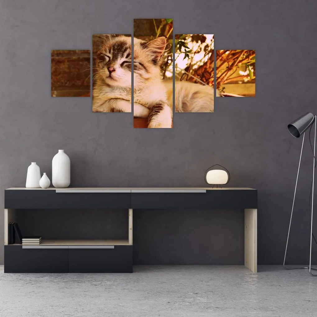 Obraz kota w doniczce (125x70 cm)