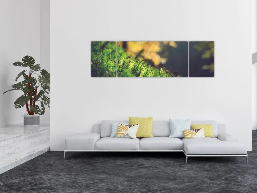 Obraz mchu z grzybem (170x50 cm)
