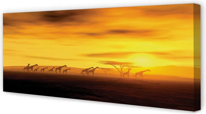 Duży obraz na płótnie Drzewo i Żyrafy pod Niebem