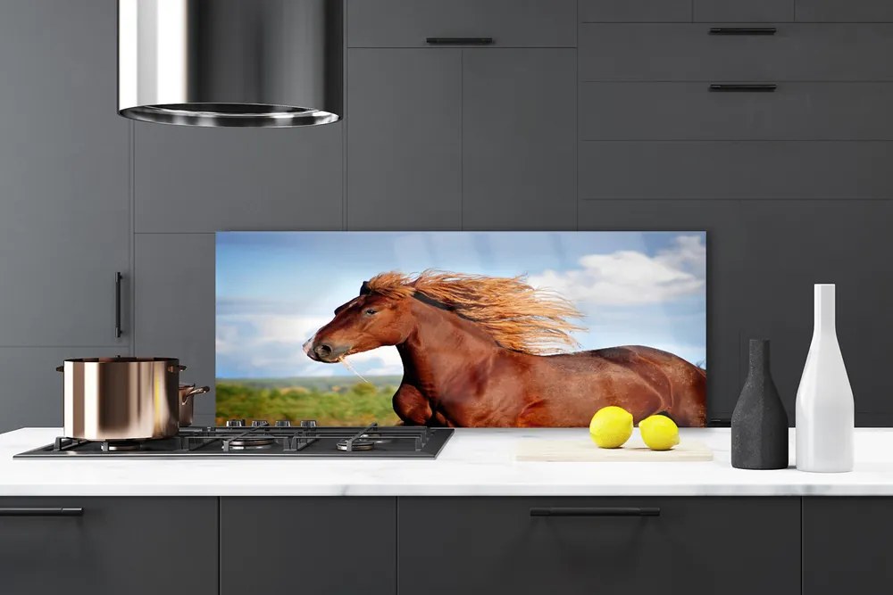 Panel Kuchenny Szlachetny Koń W Galopie