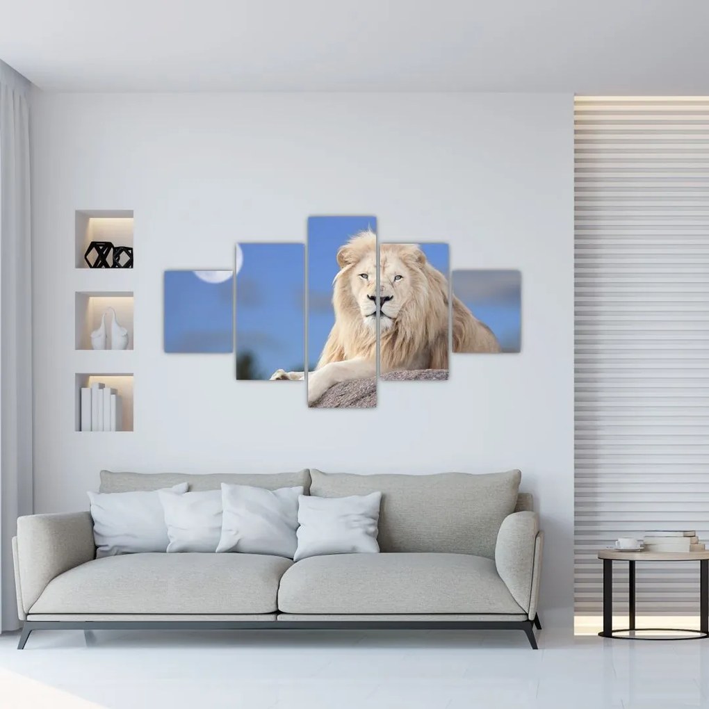 Obraz - Biały lew (125x70 cm)