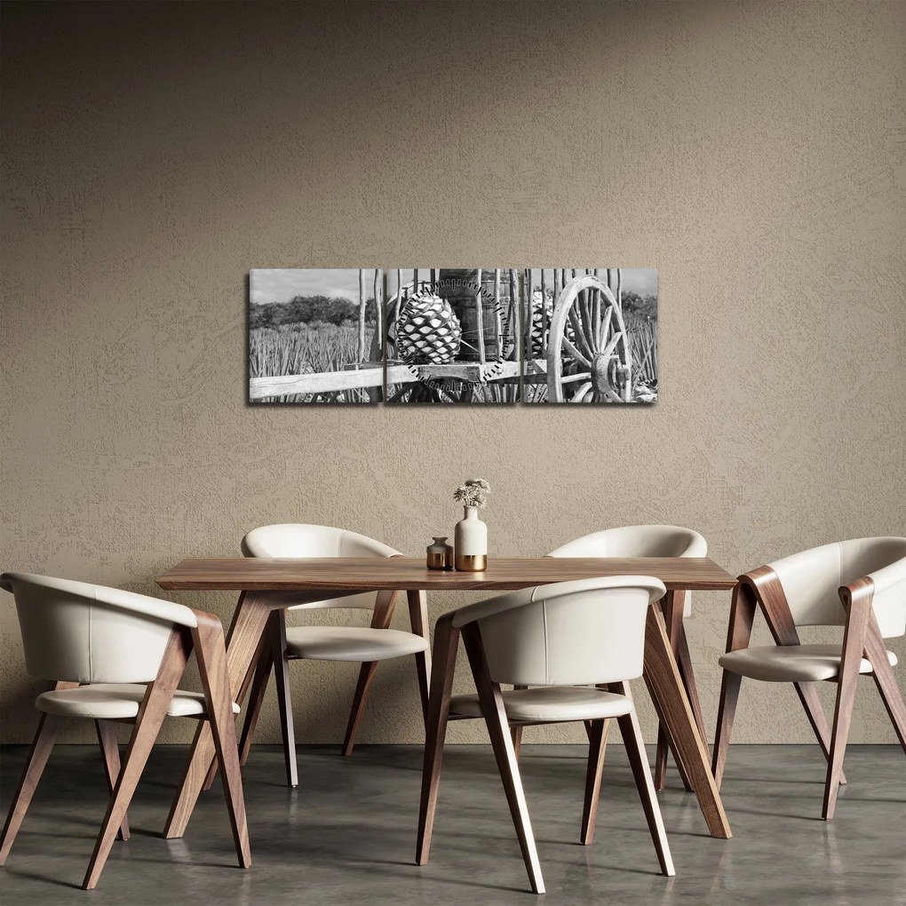 Obraz - Przyczepka, czarno - biały (z zegarem) (90x30 cm)