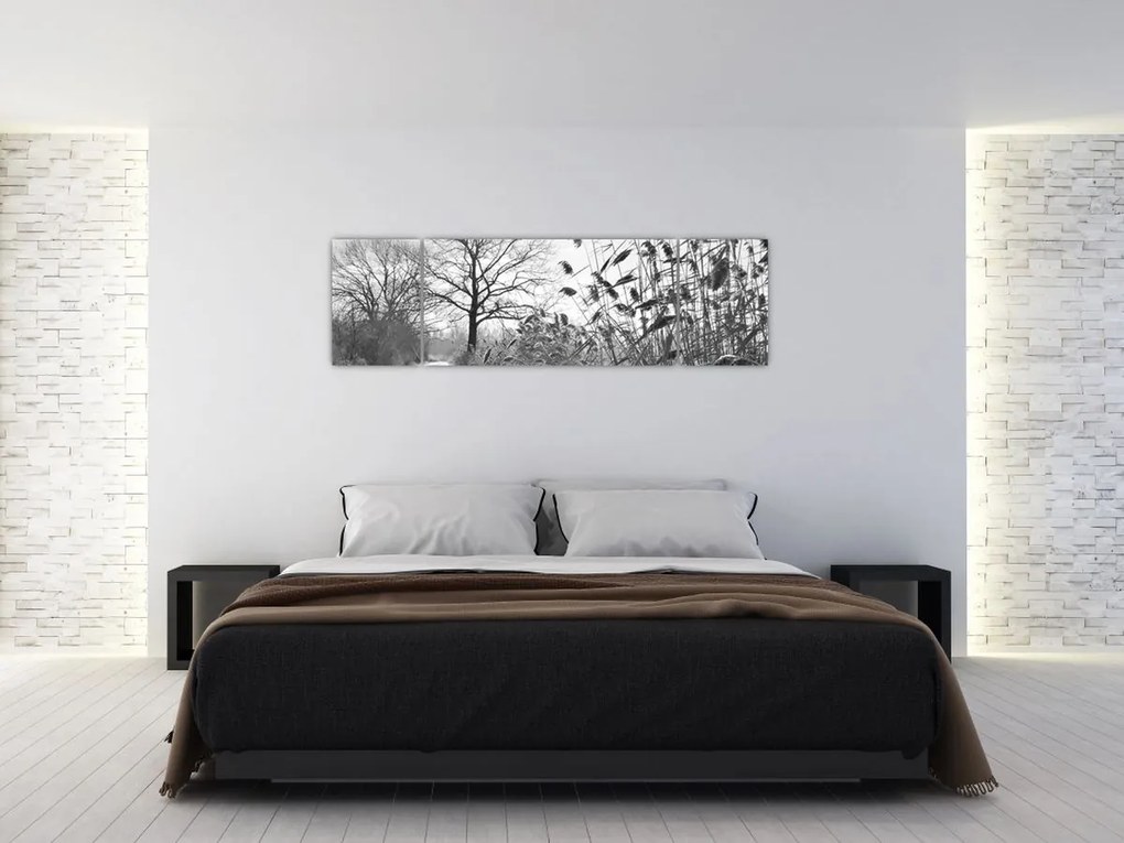 Obraz - Pola w zimie (170x50 cm)
