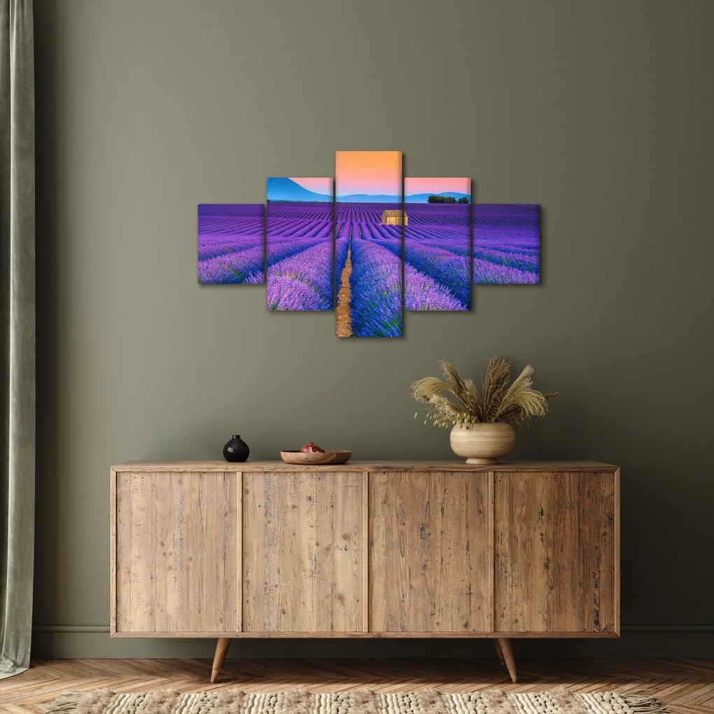 Obraz - Lewndowe pole (125x70 cm)
