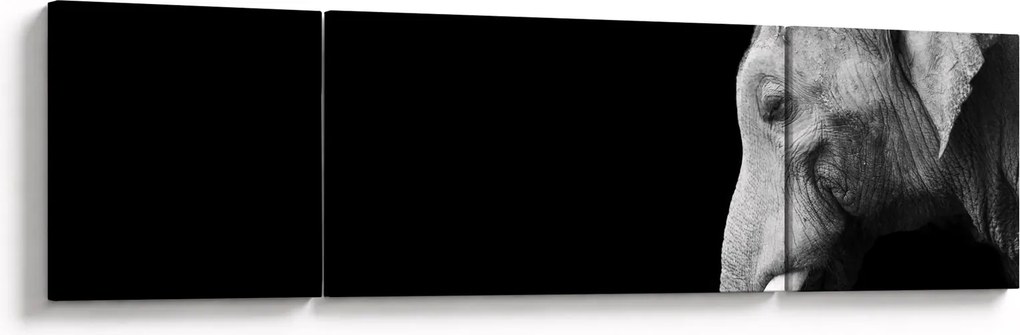 Obraz - Słoń (170x50 cm)