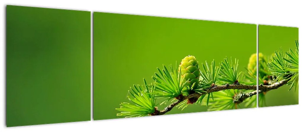 Obraz zielonej szyszki (170x50 cm)