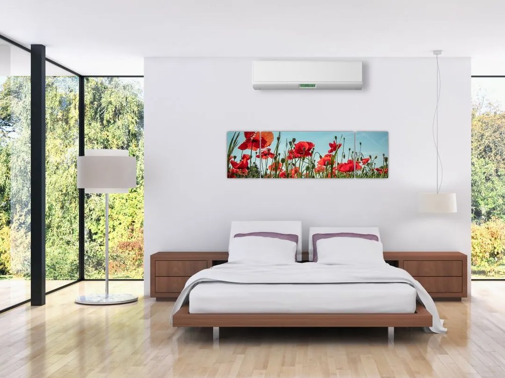 Obraz - Na polu maków (170x50 cm)