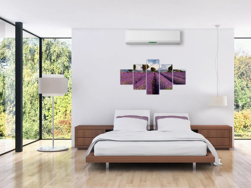 Obraz - Pole lawendy i góry (125x70 cm)