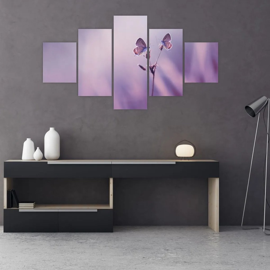 Obraz - Fioletowe motyle (125x70 cm)