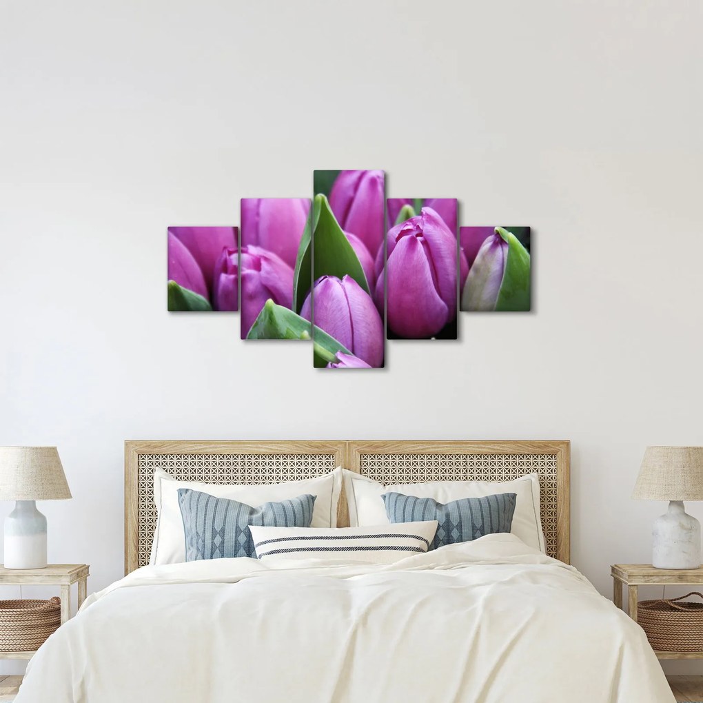 Obraz - kwiaty tulipanów (125x70 cm)
