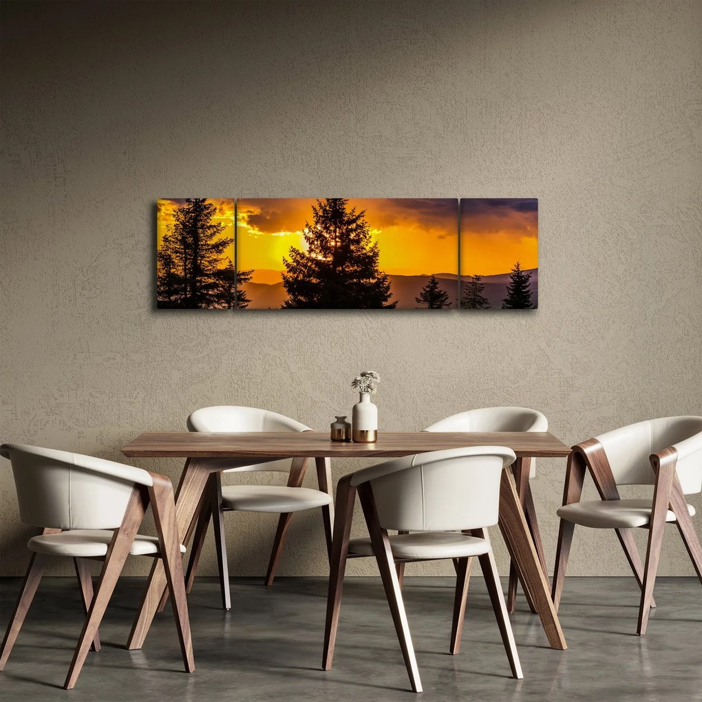 Obraz - drzewa iglaste (170x50 cm)