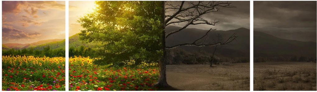 Obraz - Cykl życia (170x50 cm)