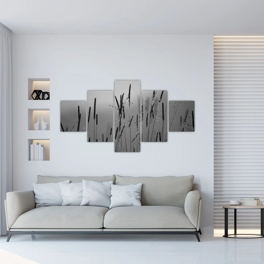 Obraz - źdźbła trawy (125x70 cm)