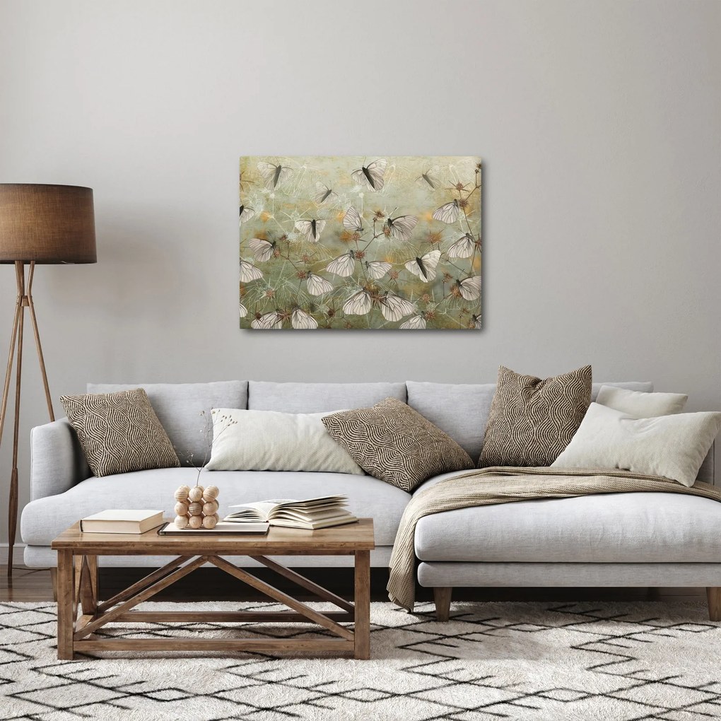 Obraz - Vintage motyle (70x50 cm)