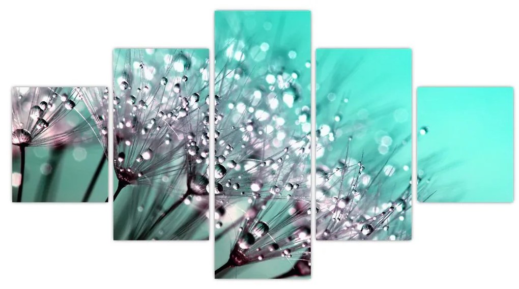 Obraz - zroszona roślina (125x70 cm)