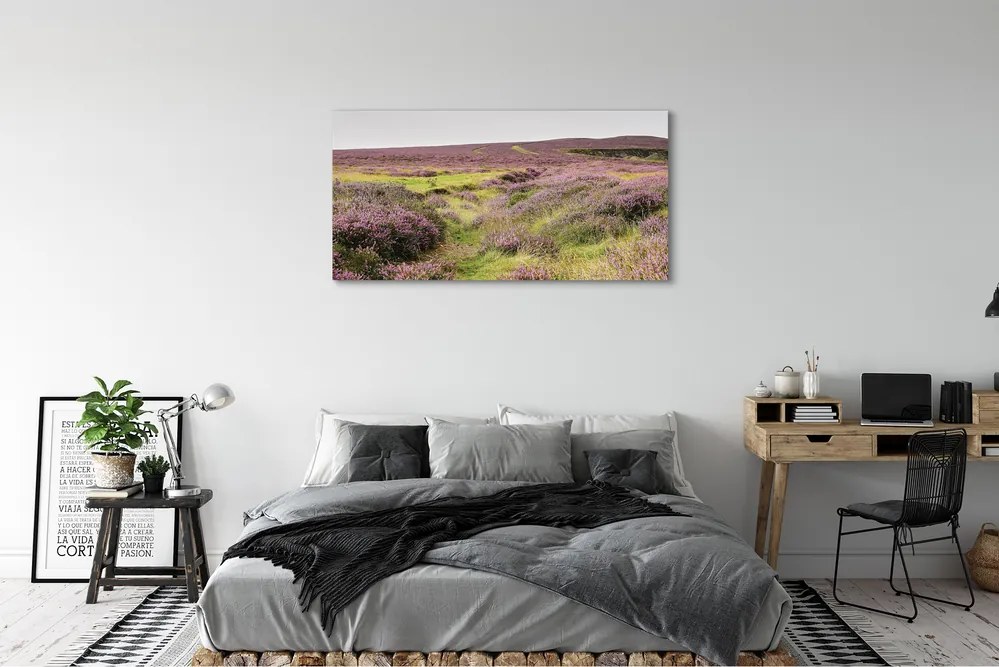 Obraz drukowany na płótnie Pole Wrzosów