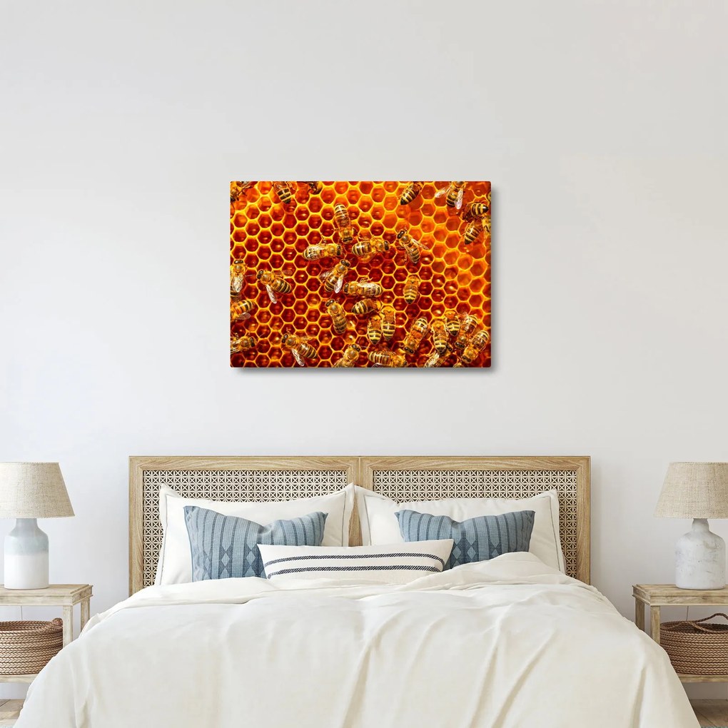 Obraz - Plaster miodu (70x50 cm)