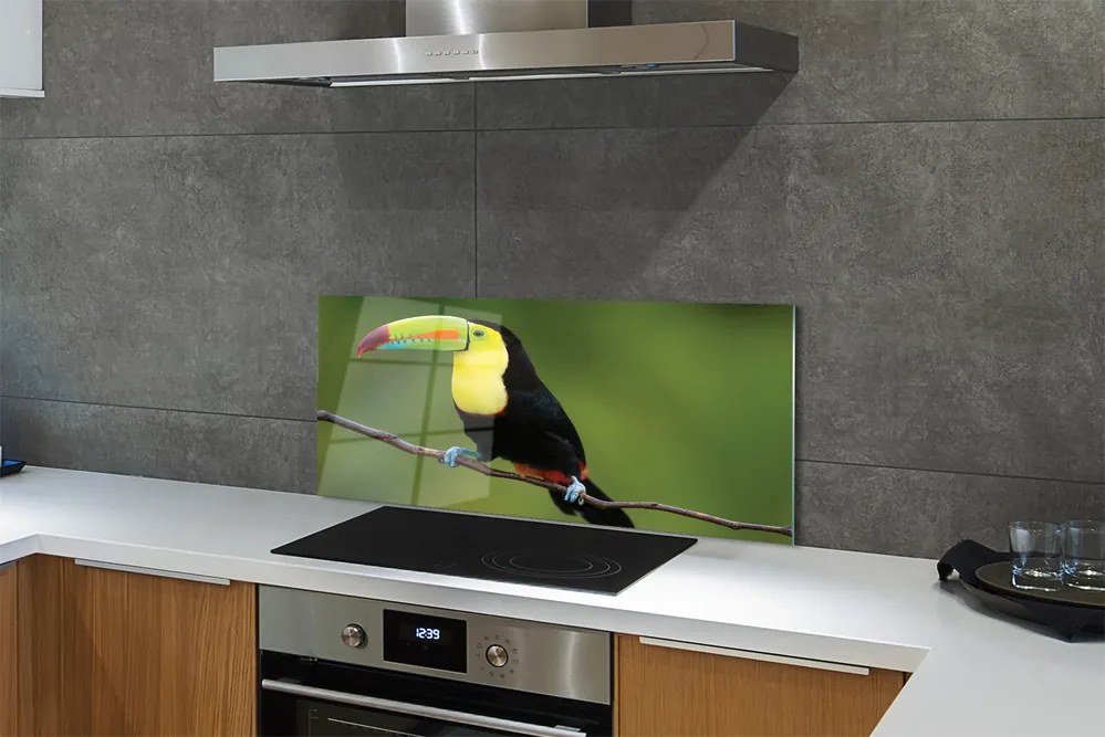 Panel szklany do Kuchni Egzotyczny Ptak na Gałęzi