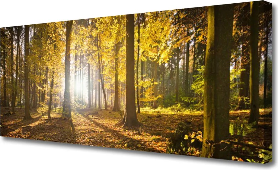 Fotoobraz na płótnie Głęboka Zieleń Leśnych Liści