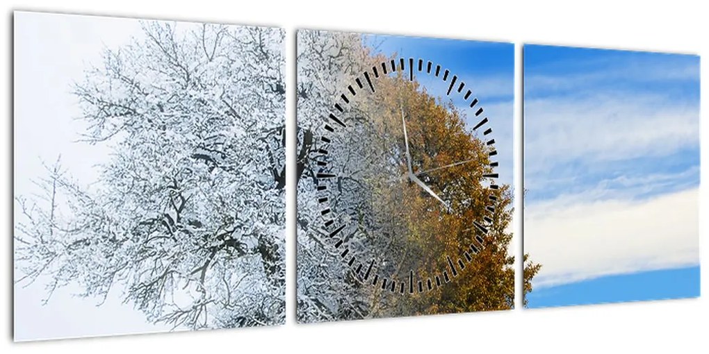 Obraz - Zmiana pór roku (z zegarem) (90x30 cm)