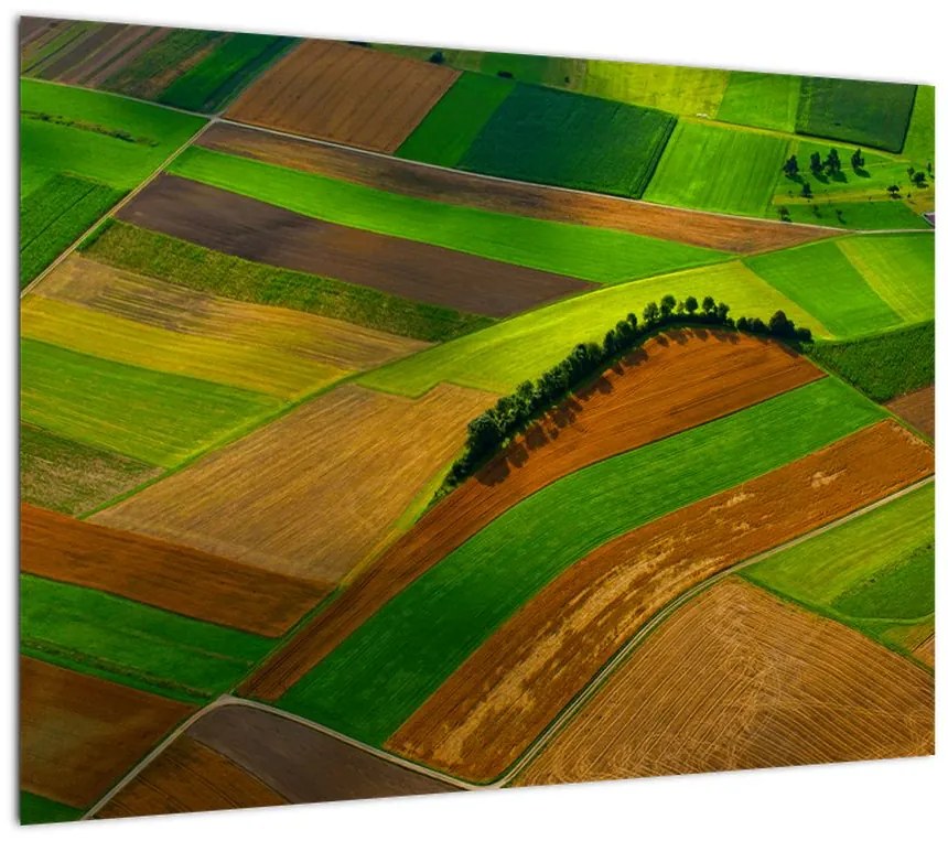 Obraz na szkle - Pola, łąki (70x50 cm)