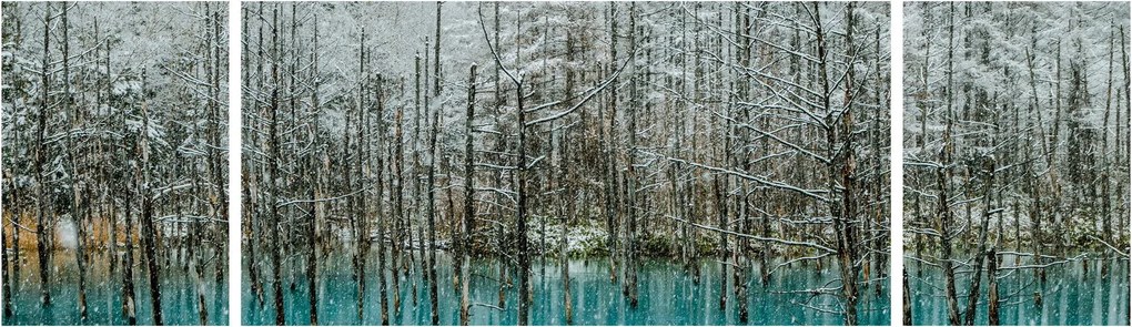 Obraz - Turkusowy staw, Biei, Japonia (170x50 cm)