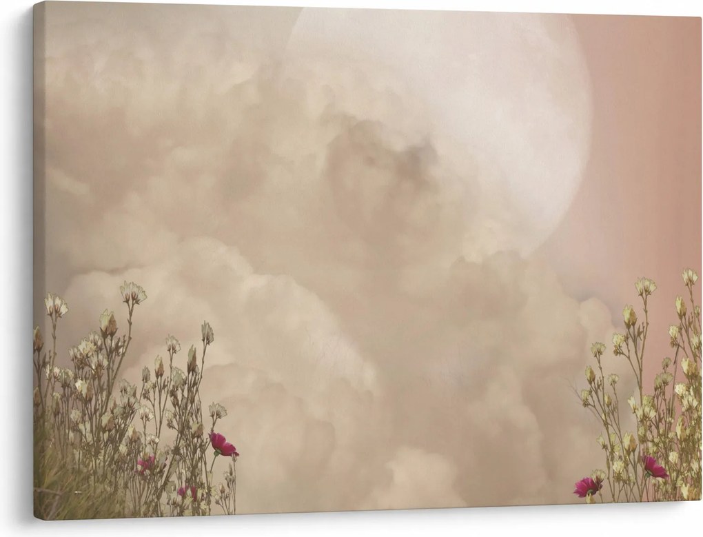Obraz - Różowa pełnia księżyca (70x50 cm)