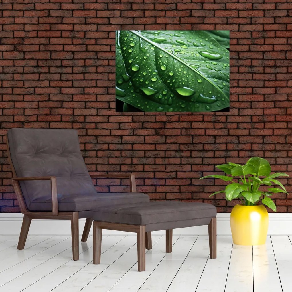 Obraz na szkle - Szczegół liścia po deszczu (70x50 cm)