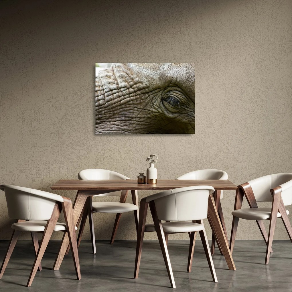Obraz na szkle - Zbliżenie na stare oko słonia (70x50 cm)