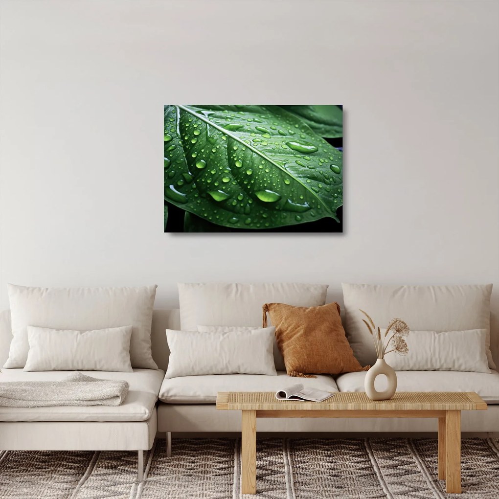 Obraz na szkle - Szczegół liścia po deszczu (70x50 cm)