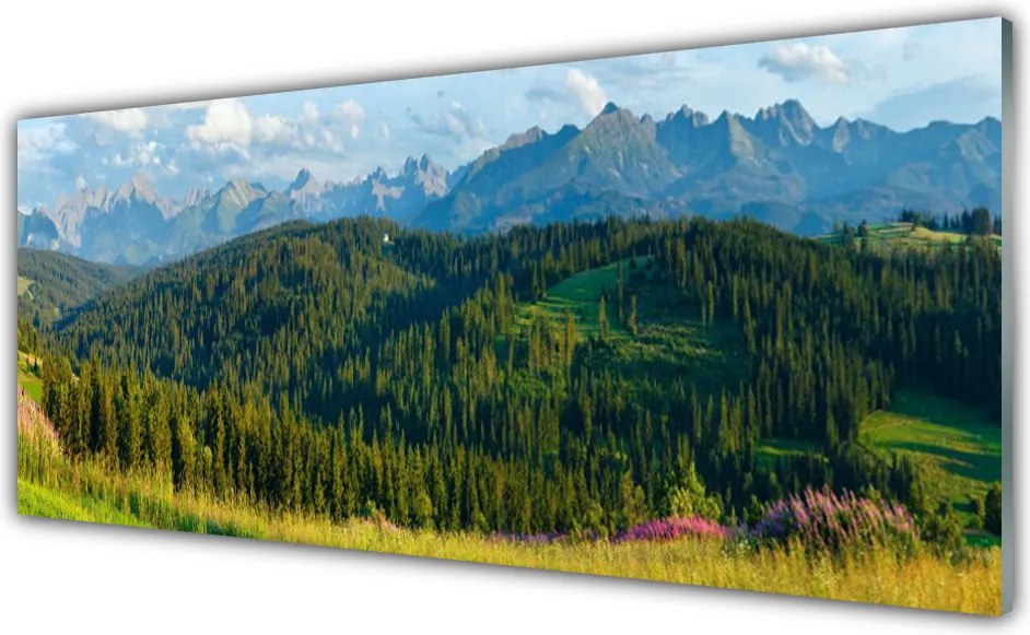 Panel Szklany Szczyty Gór w Gęstym Lesie