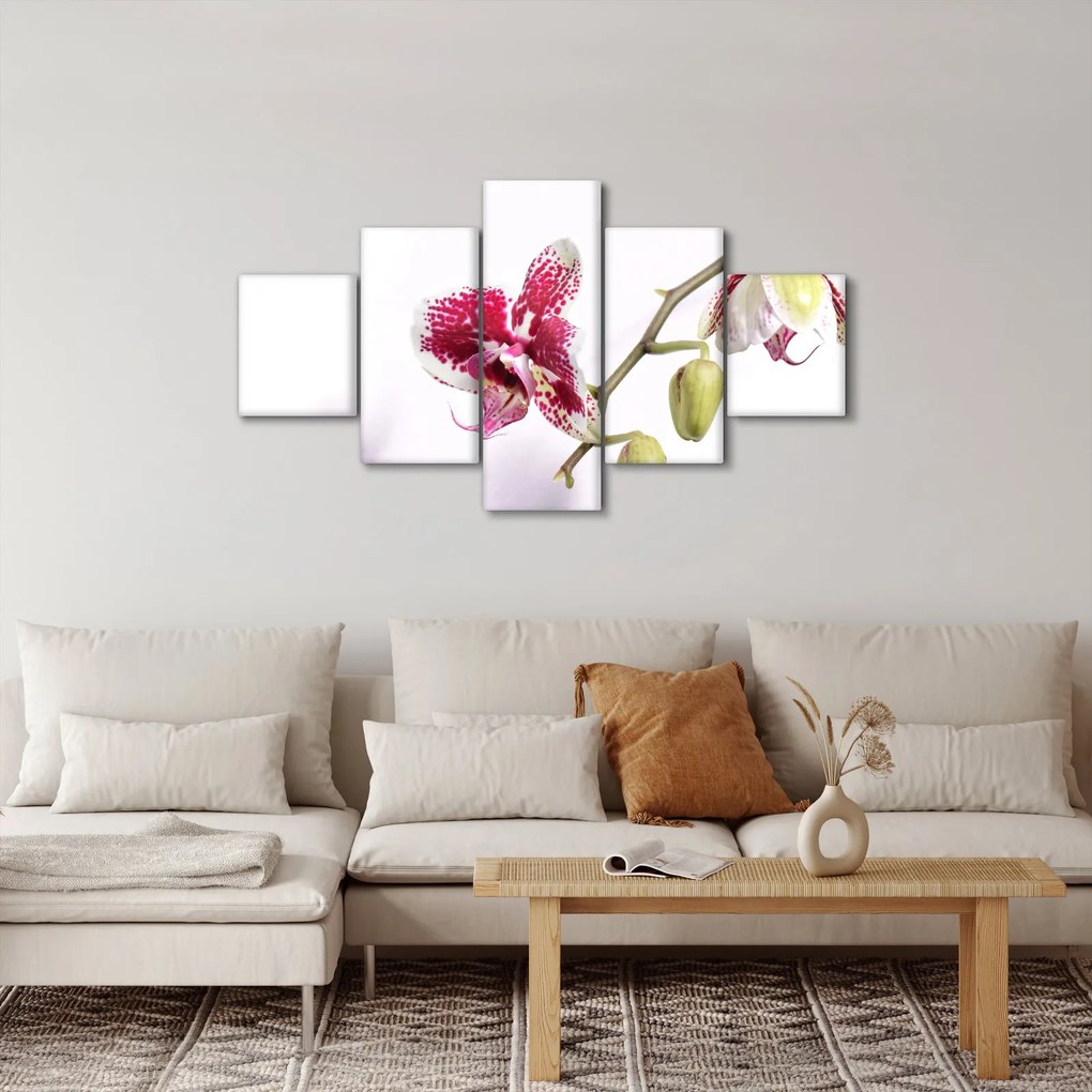 Obraz kwiatu orchidei (125x70 cm)