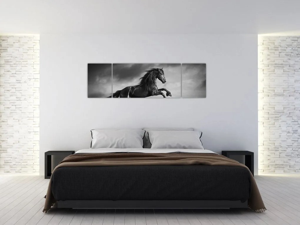 Obraz - Czarny i biały koń (170x50 cm)