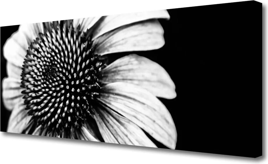 Obraz drukowany na płótnie Rozkwitająca Natura