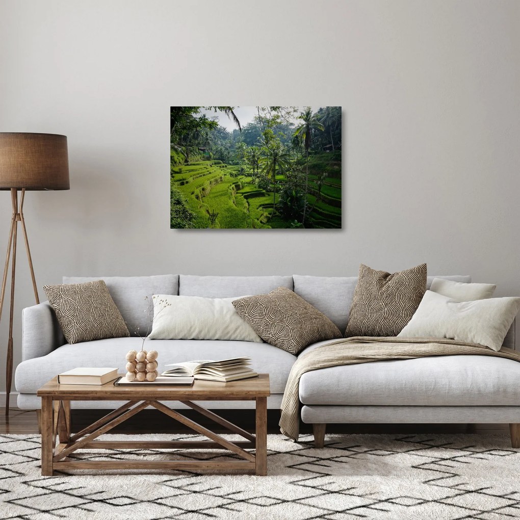 Obraz na szkle tarasów ryżowych Tegalalang, Bali (70x50 cm)