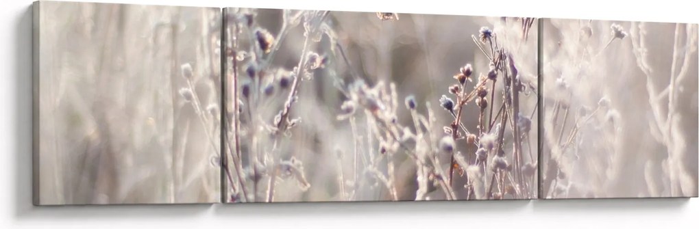 Obraz - Roślina (170x50 cm)