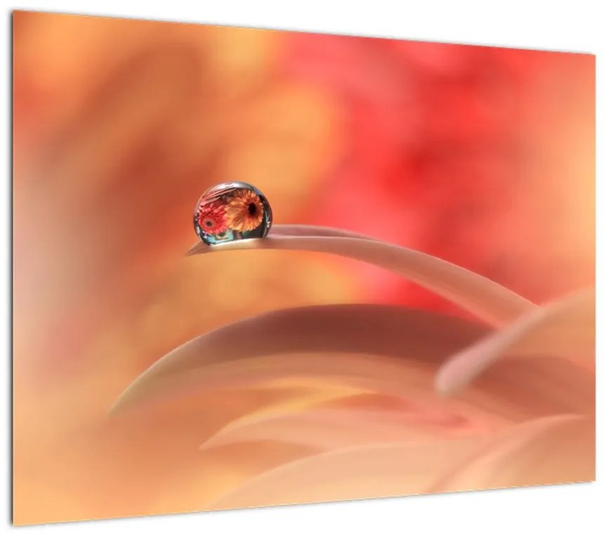 Obraz kwiecistej kropli rosy (70x50 cm)