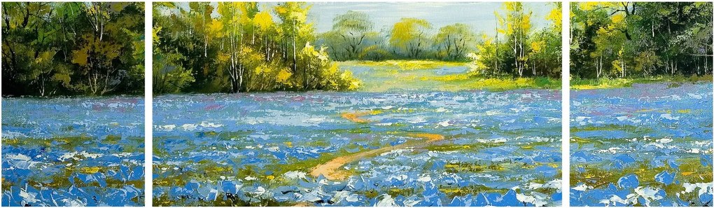 Obraz - Ścieżka w polu, obraz olejny (170x50 cm)