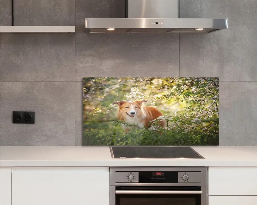 Szkło Ozdobne do Kuchni Pies wśród Leśnych Kwiatów