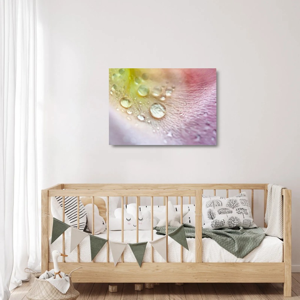 Obraz na szkle - Krople rosy (70x50 cm)