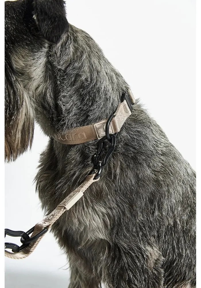 Beżowa obroża w rozmiarze M/L długość 35 cm Modena Greige M/ML – MiaCara
