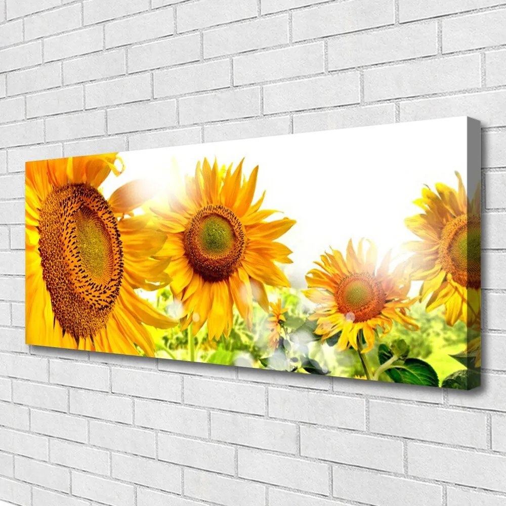Obraz canvas Radosne Pole Słoneczników