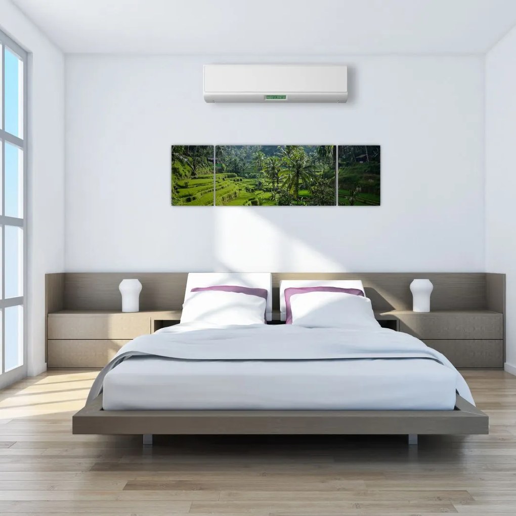 Obraz tarasów ryżowych Tegalalang, Bali (170x50 cm)