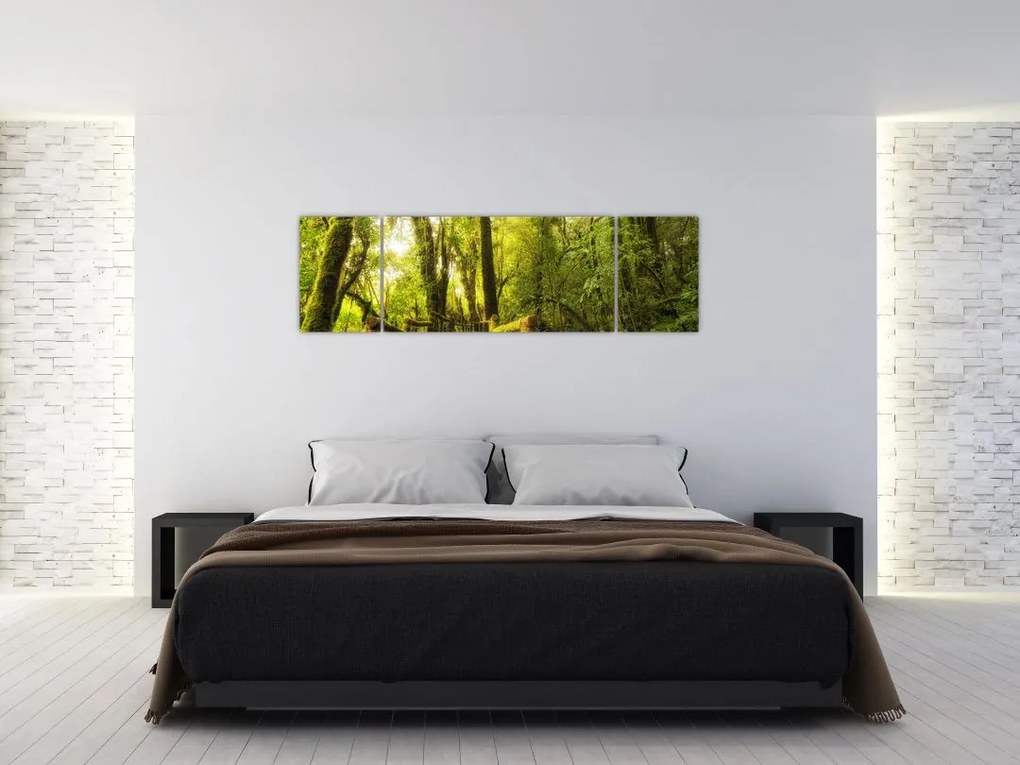 Obraz omszałej dżungli (170x50 cm)