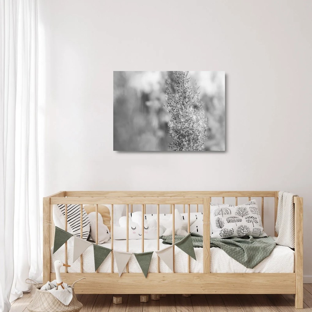 Obraz na szkle - Trawa pampasowa Boho (70x50 cm)