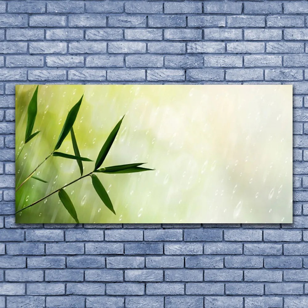 Fotoobraz na płótnie Liście w Strugach Deszczu