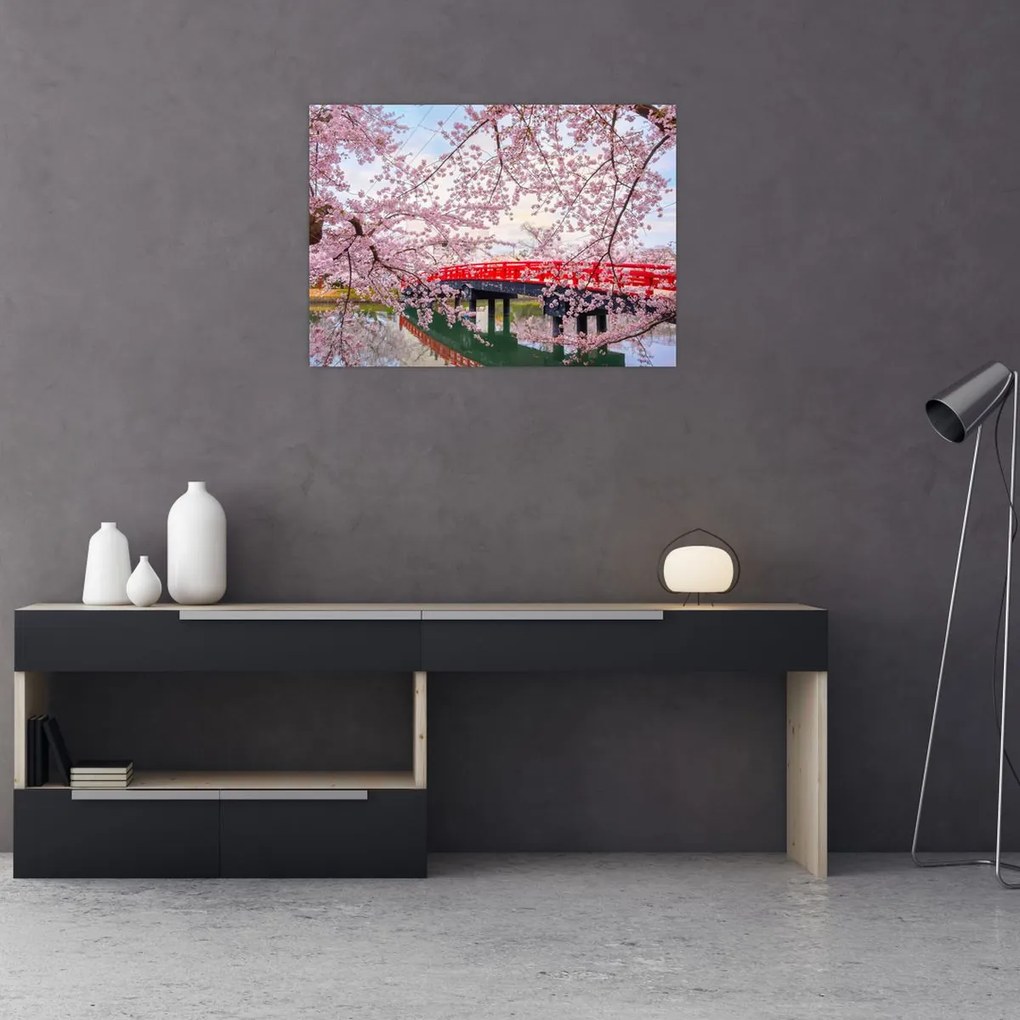 Obraz - Hirosaki, Japonia (70x50 cm)