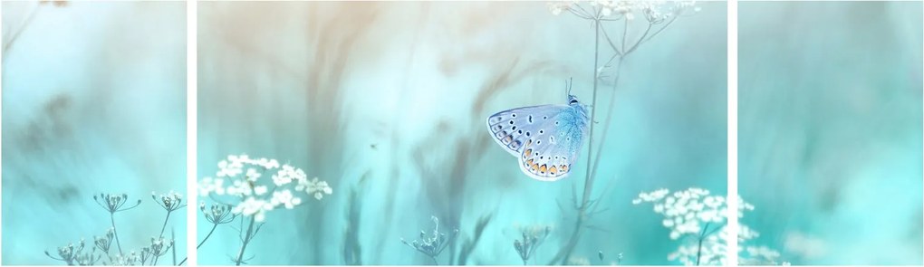 Obraz - Motyl w niebieskim (170x50 cm)
